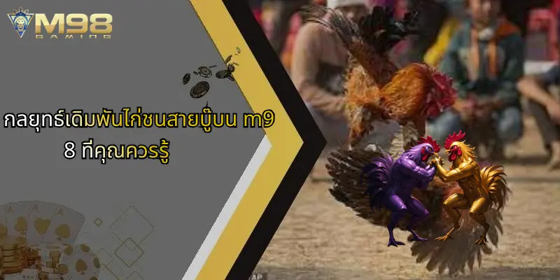 ไก่ชนสายบู๊: พลังแห่งสังเวียนและเคล็ดลับเดิมพันผ่าน M98 3 กลยุทธ์เดิมพันไก่ชนสายบู๊บน m98 ที่คุณควรรู้