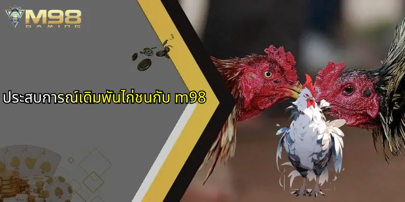 ไก่ชนถ่ายทอดสด: มิติใหม่แห่งความสนุกและโอกาสทำเงินพร้อมบริการผ่าน M98 2 ประสบการณ์เดิมพันไก่ชนกับ m98
