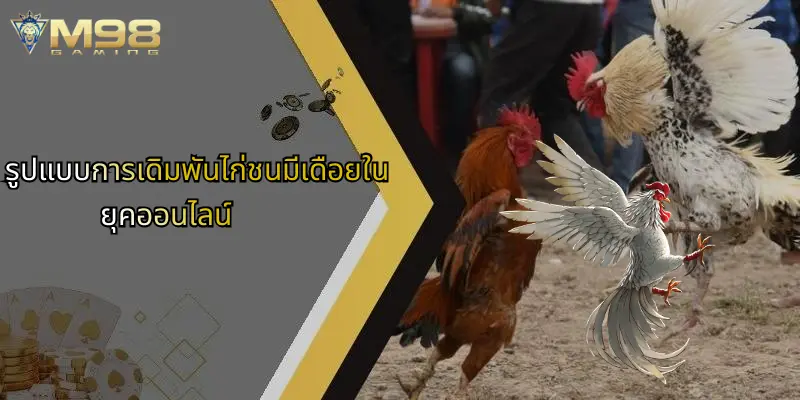 ไก่ชนมีเดือย: ความมันส์เร้าใจบนสังเวียนกับ M98 ออนไลน์ 3 รูปแบบการเดิมพันไก่ชนมีเดือยในยุคออนไลน์