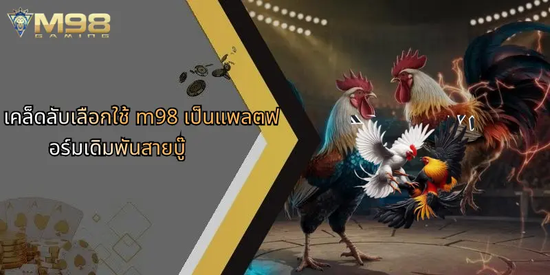 ไก่ชนสายบู๊: พลังแห่งสังเวียนและเคล็ดลับเดิมพันผ่าน M98 5 เคล็ดลับเลือกใช้ m98 เป็นแพลตฟอร์มเดิมพันสายบู๊