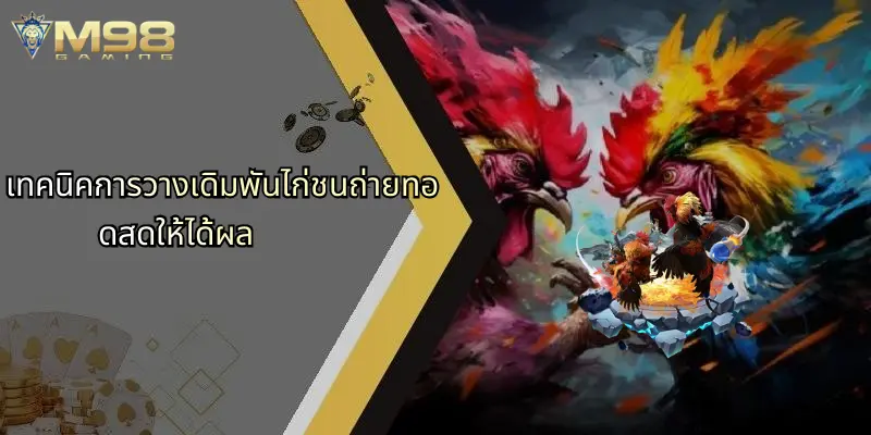 ไก่ชนถ่ายทอดสด: มิติใหม่แห่งความสนุกและโอกาสทำเงินพร้อมบริการผ่าน M98 4 เทคนิคการวางเดิมพันไก่ชนถ่ายทอดสดให้ได้ผล