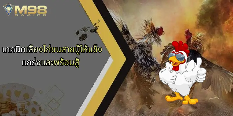 ไก่ชนสายบู๊: พลังแห่งสังเวียนและเคล็ดลับเดิมพันผ่าน M98 2 เทคนิคเลี้ยงไก่ชนสายบู๊ให้แข็งแกร่งและพร้อมสู้