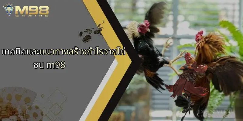 เทคนิคและแนวทางสร้างกำไรจากไก่ชน m98