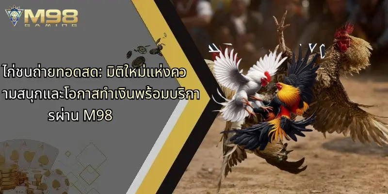 ไก่ชนถ่ายทอดสด: มิติใหม่แห่งความสนุกและโอกาสทำเงินพร้อมบริการผ่าน M98 1 ไก่ชนถ่ายทอดสด-มิติใหม่แห่งความสนุกและโอกาสทำเงินพร้อมบริการผ่าน-m98