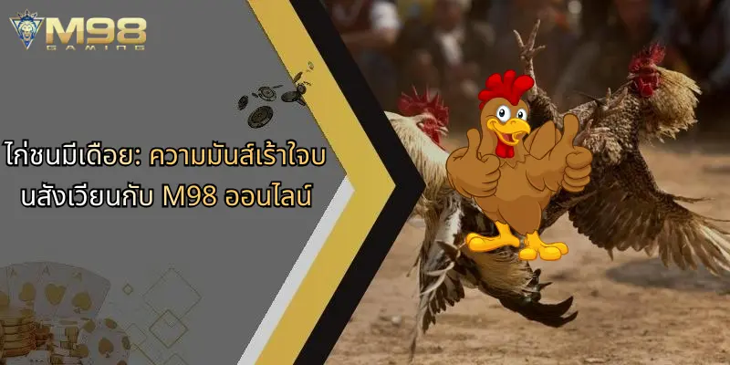 ไก่ชนมีเดือย: ความมันส์เร้าใจบนสังเวียนกับ M98 ออนไลน์ 1 ไก่ชนมีเดือย-ความมันส์เร้าใจบนสังเวียนกับ-m98-ออนไลน์