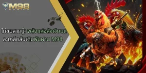 ไก่ชนสายบู๊-พลังแห่งสังเวียนและเคล็ดลับเดิมพันผ่าน-m98